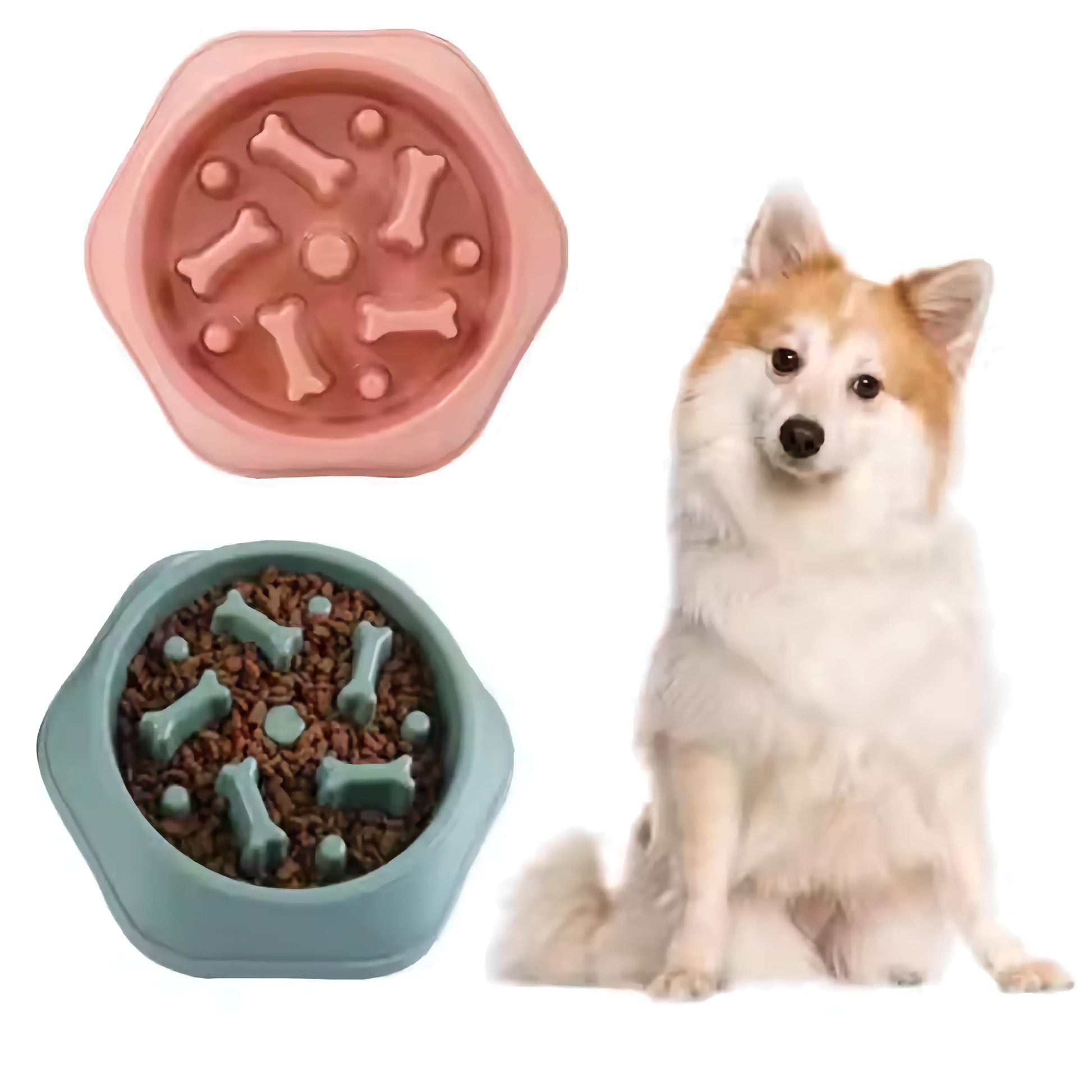 Slow Feeder Dog Bowl – Bone-Shaped for Healthy Eating Harmony Pet Supplies Scarborough