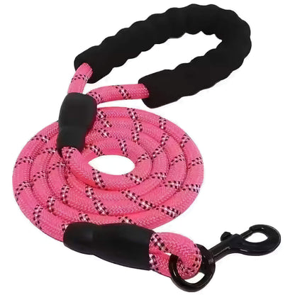 Reflective Dog Leash – Durable Safety for Night Walks Harmony Pet Supplies Scarborough