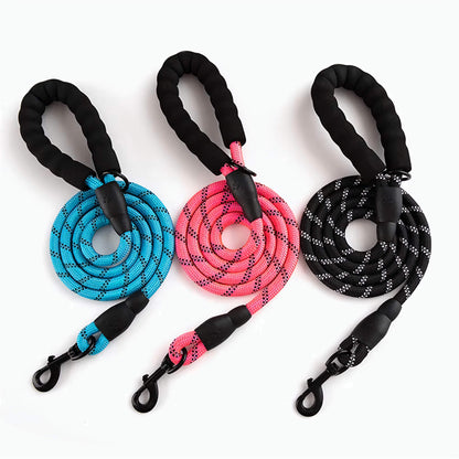 Reflective Dog Leash – Durable Safety for Night Walks Harmony Pet Supplies Scarborough