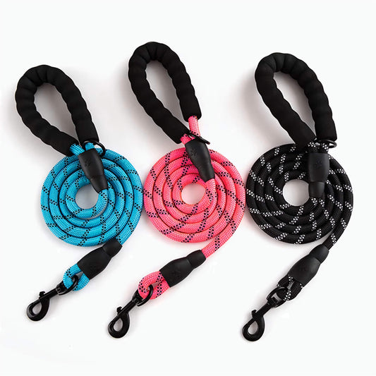 Reflective Dog Leash – Durable Safety for Night Walks Harmony Pet Supplies Scarborough