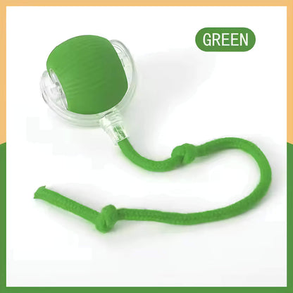 Vibrating Bouncing Ball – Interactive Toy for Cats & Dogs Harmony Pet Supplies Scarborough