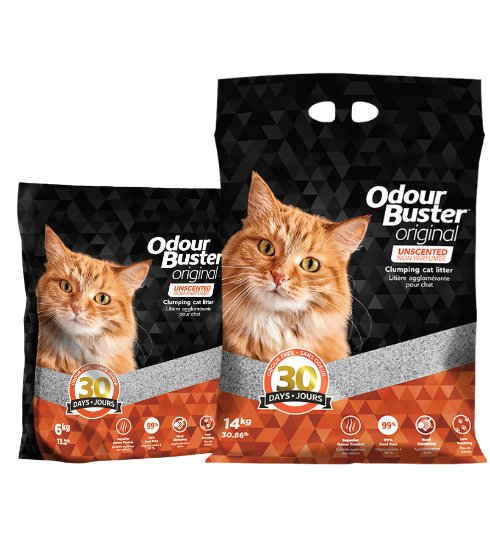 Odour Buster™ Original Premium Cat Litter 14kg