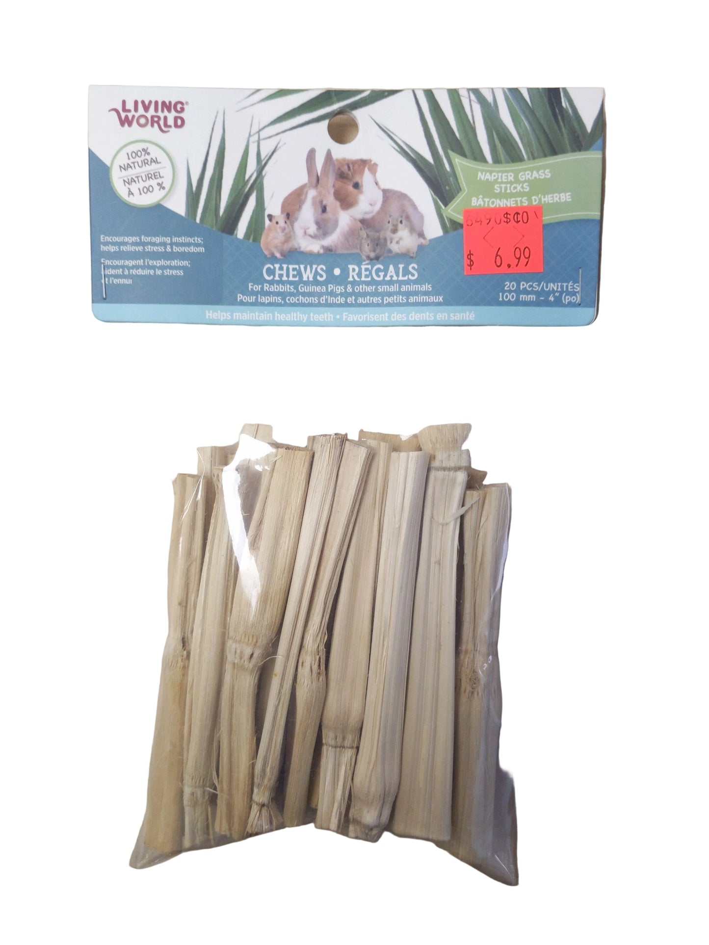 Living World Green Napier Grass Sticks – The Ultimate Natural Enrichment Harmony Pet Supplies Scarborough