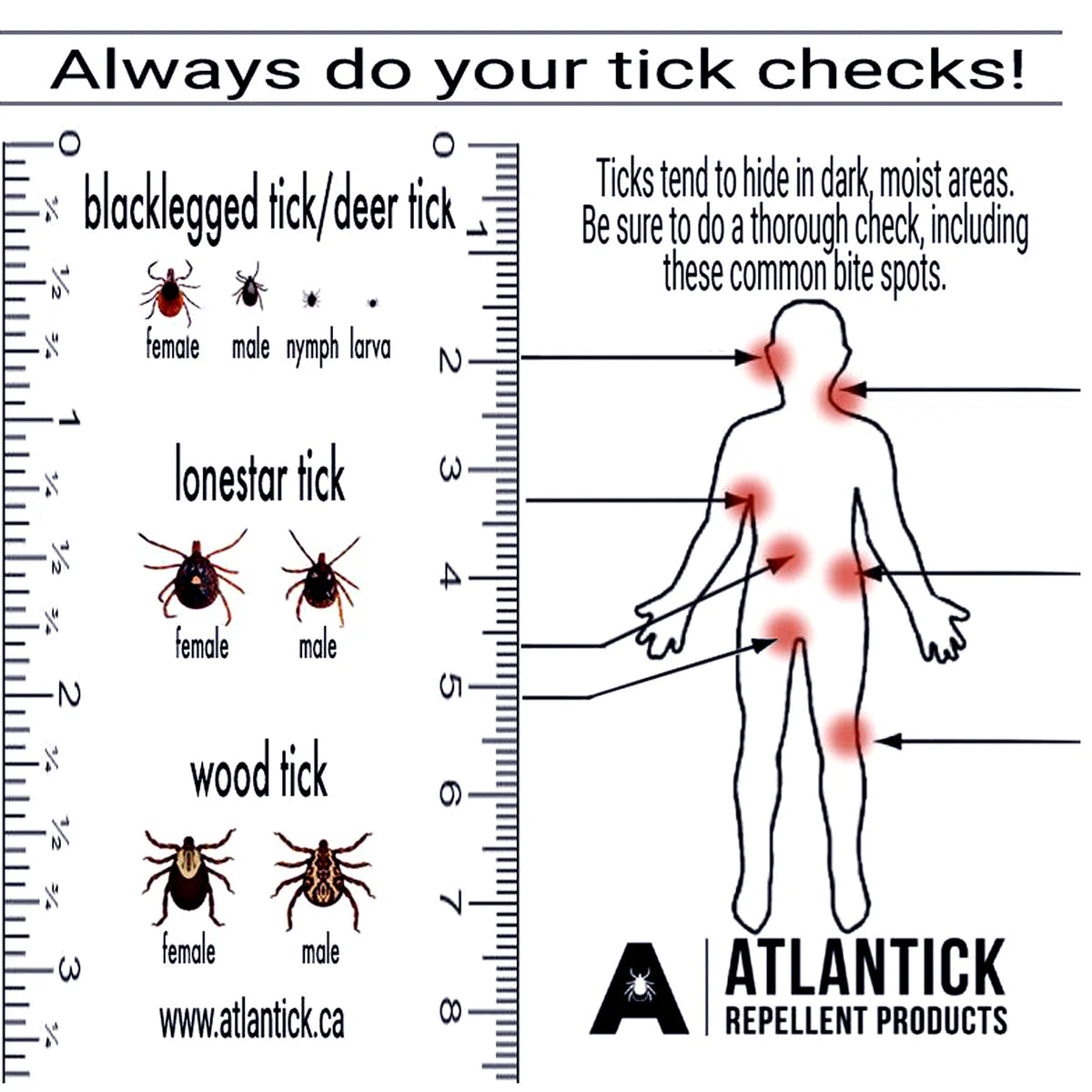 Atlantick - Tick Kit