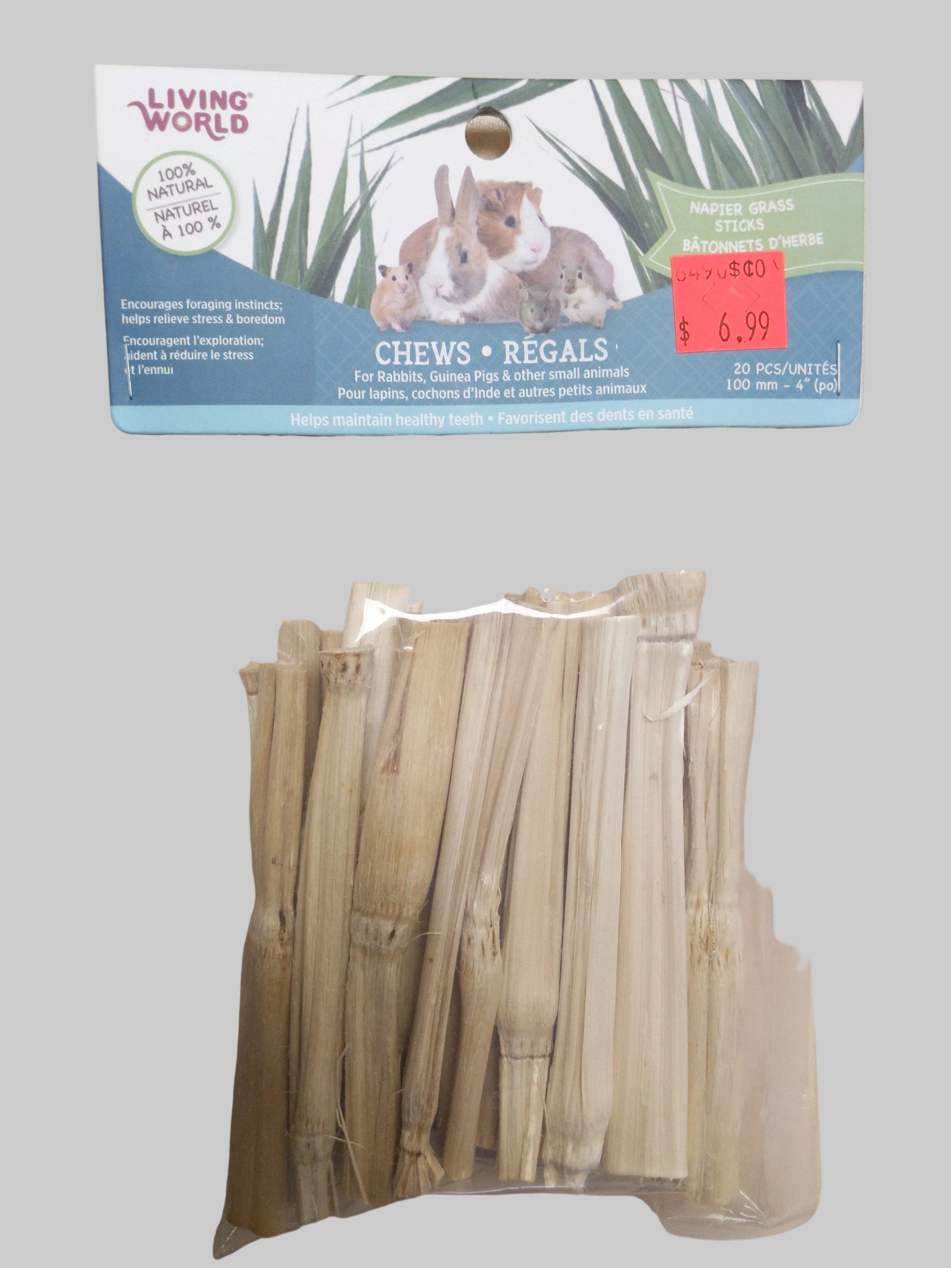 Living World Green Napier Grass Sticks – The Ultimate Natural Enrichment Harmony Pet Supplies Scarborough