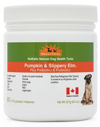 Wellytails Gut Prebiotics Plus Pumpkin And Slippery Elm Dog Harmony Pet Supplies Scarborough